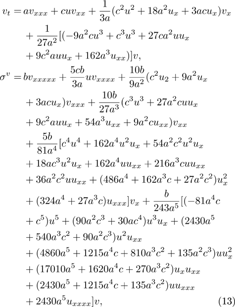 Equation (13)