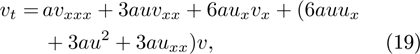 Equation (19)