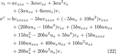 Equation (22)