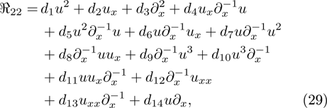 Equation (29)
