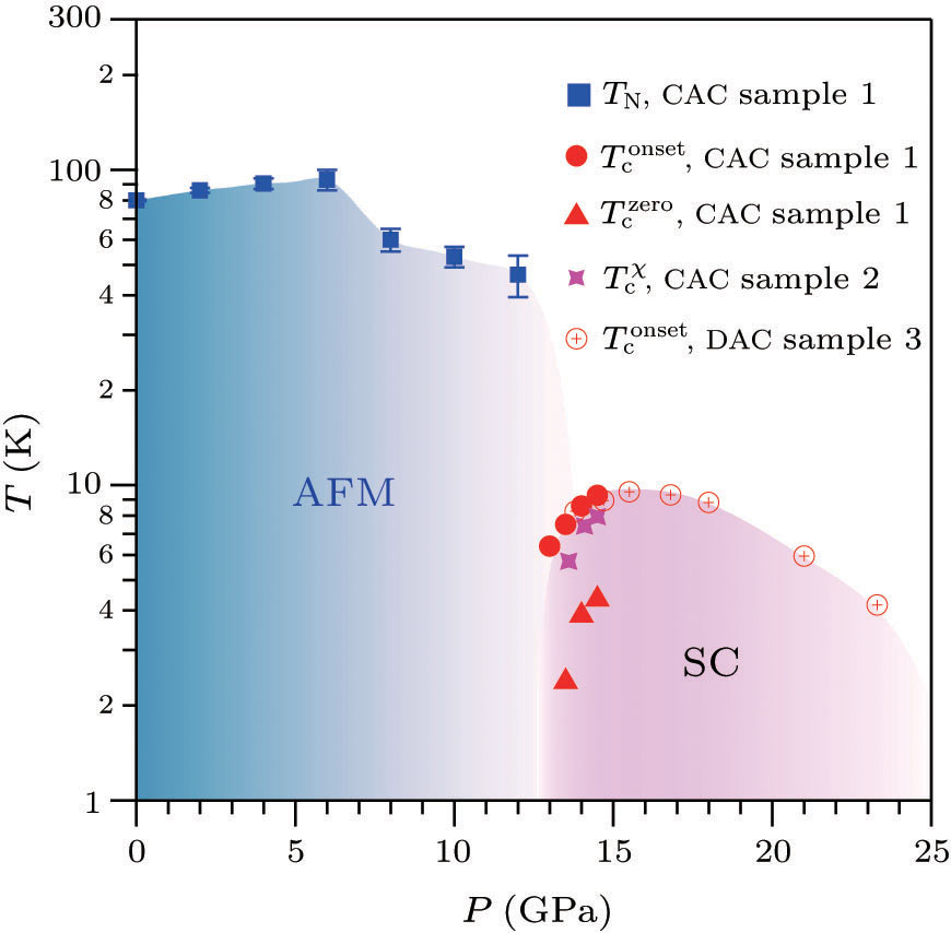 Emergence of Superconductivity on the Border of Antiferromagnetic Order ...