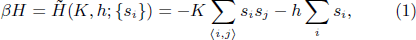 Equation (1)