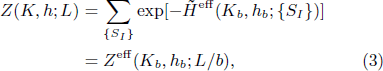 Equation (3)