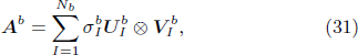 Equation (31)
