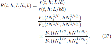 Equation (37)