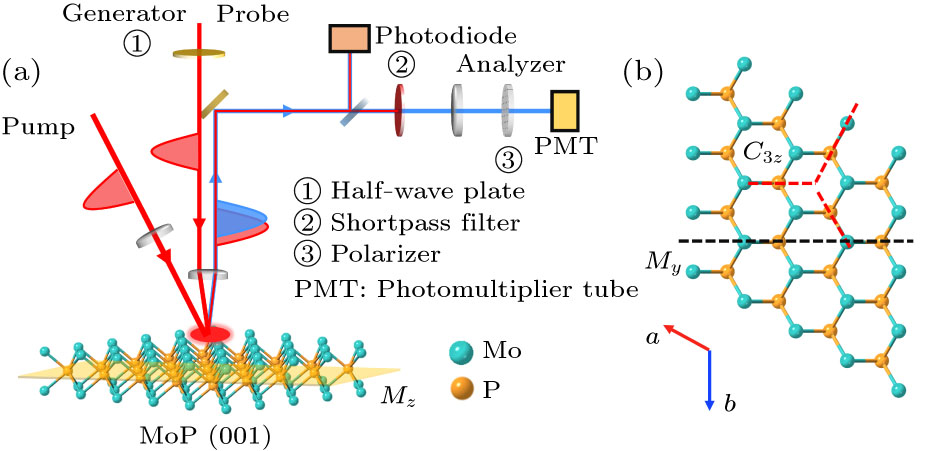 Giant Nonlinear Optical Response in Topological Semimetal