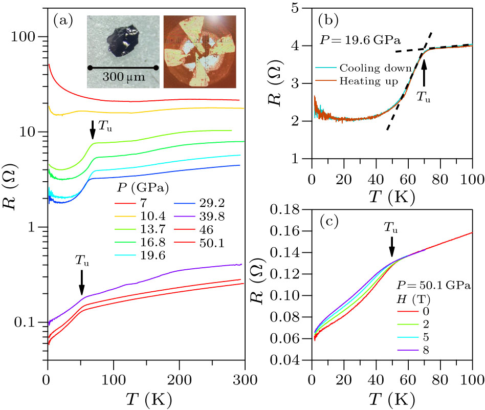 Emergence of High-Temperature Superconducting Phase in Pressurized ...