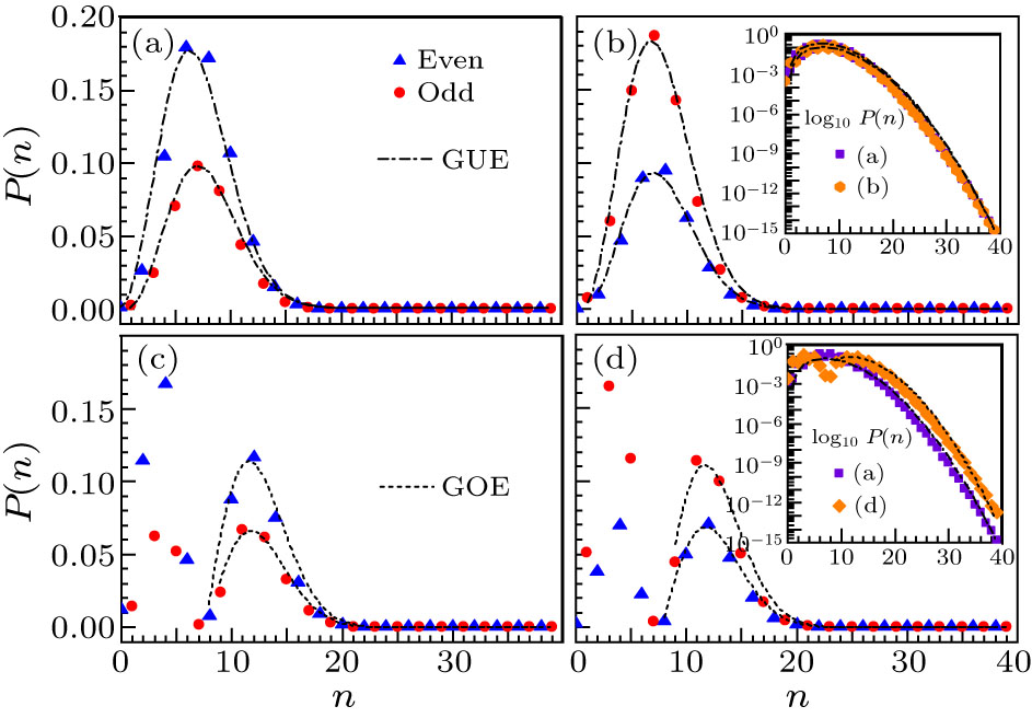 Characterizing Superradiant Phase of the Quantum Rabi Model