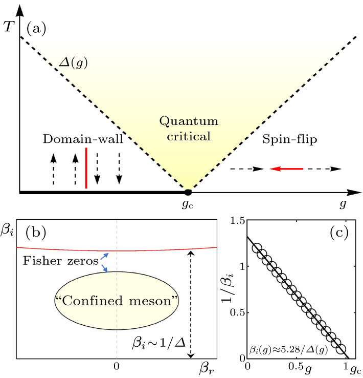 Signatures of Quantum Criticality in the Complex Inverse