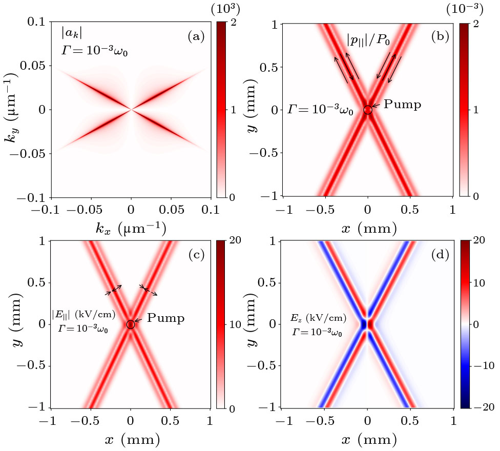 その他 M M Surface Ferron Excitations in Ferroelectrics and Their Directional