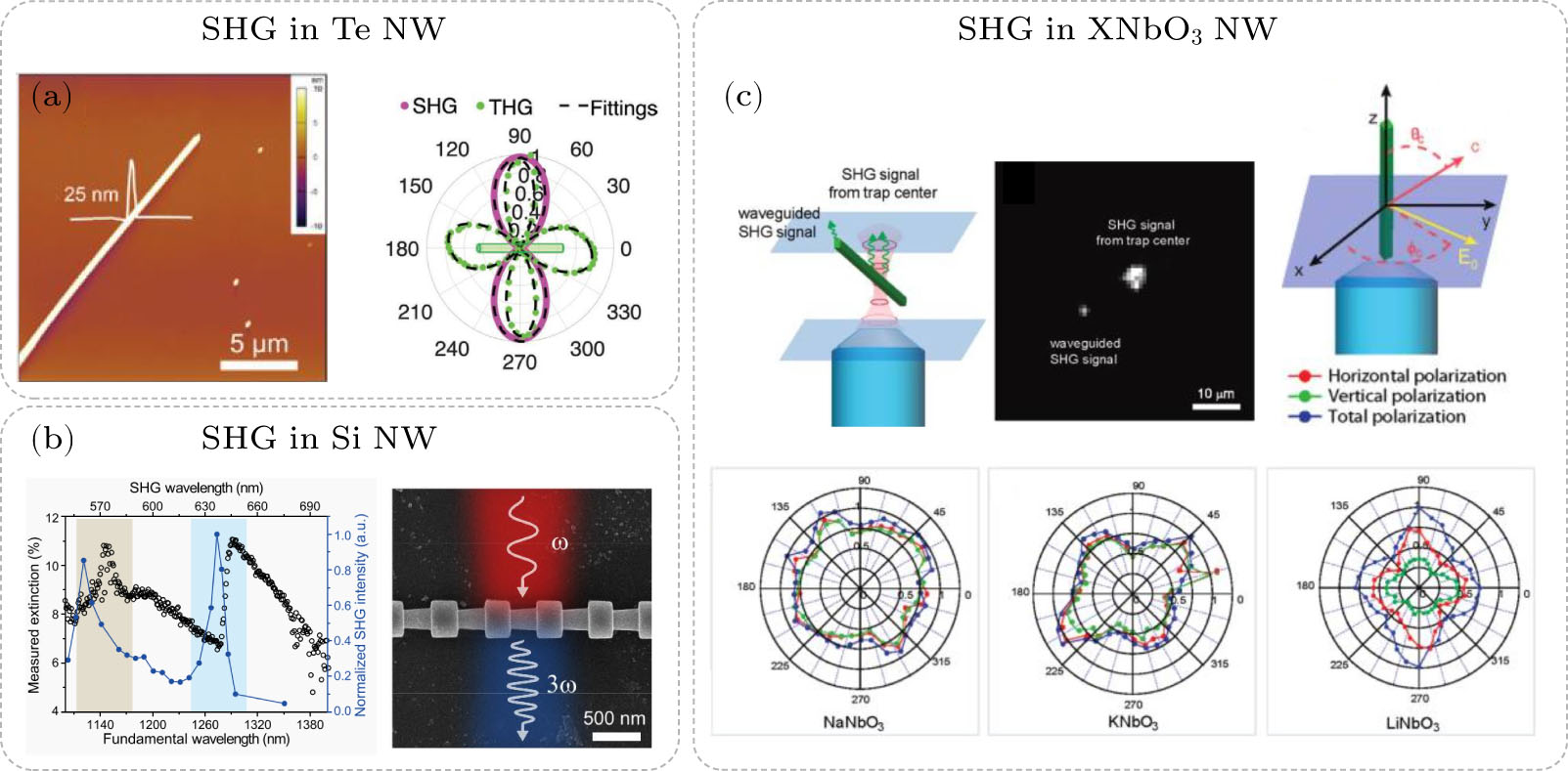 Second Harmonic Generation in Nanowires - IOPscience
