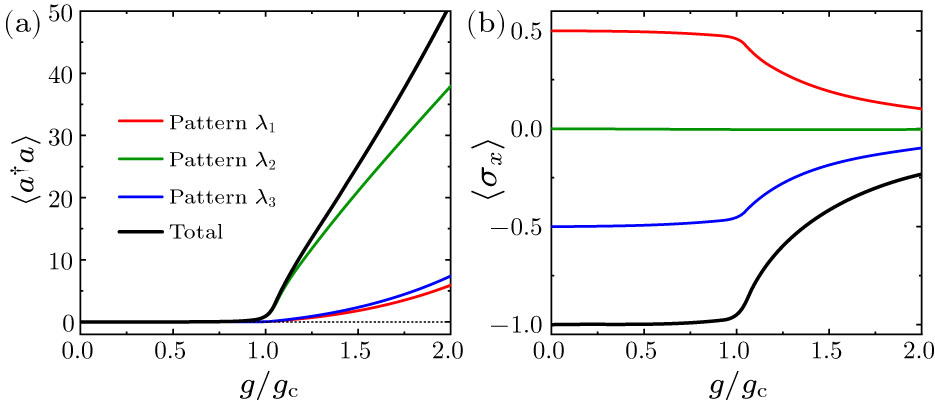 Dissecting Superradiant Phase Transition in the Quantum Rabi Model ...