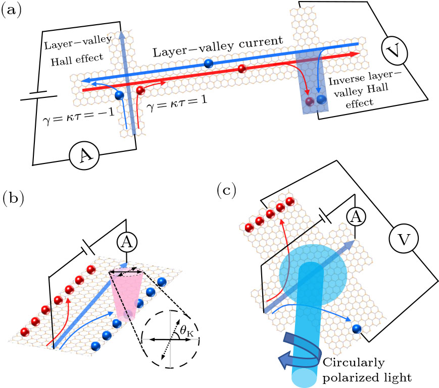 Layer-Valley Hall Effect under Inversion and Time-Reversal