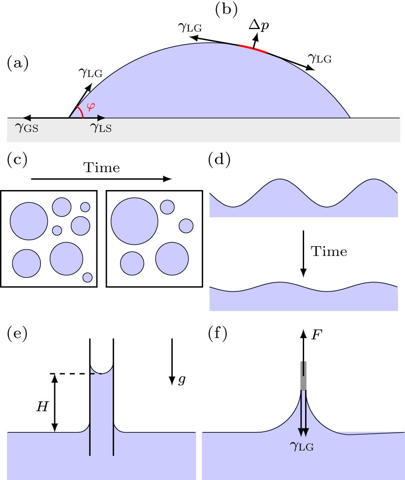 Interface Example Physics The Surprising Physics of Interfaces in Active Matter - IOPscience