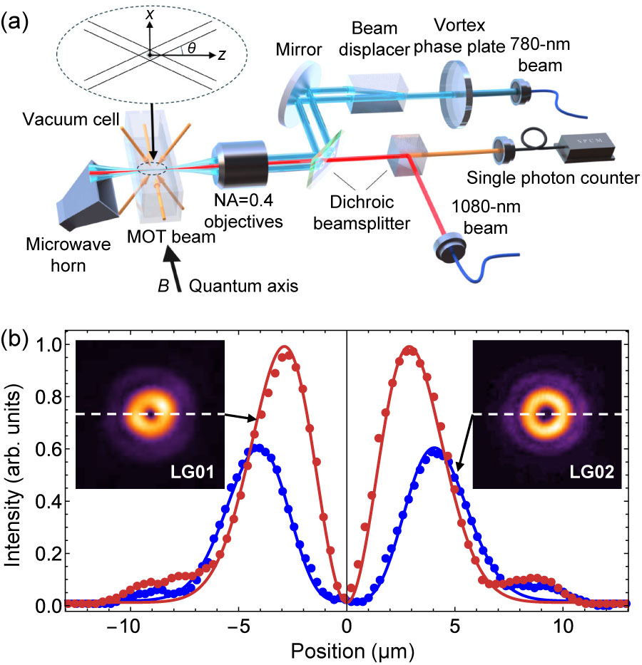 Enhancing the Coherence Time of a Neutral Atom by an Optical Quartic ...