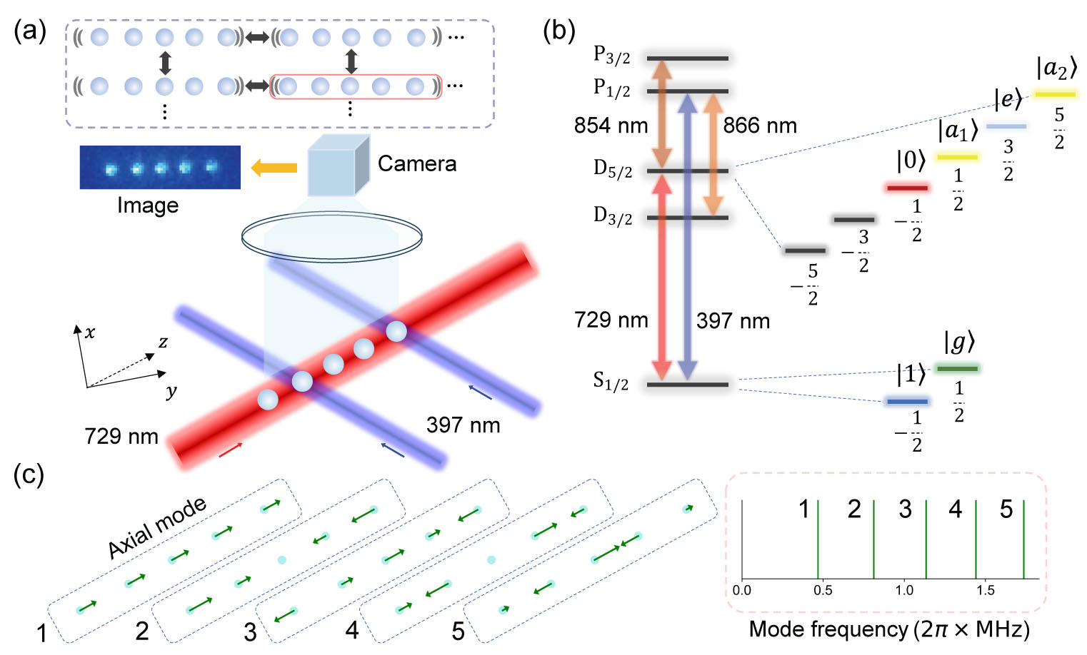 High-Fidelity Two-Qubit Quantum Logic Gates in a Trapped-Ion Chain ...