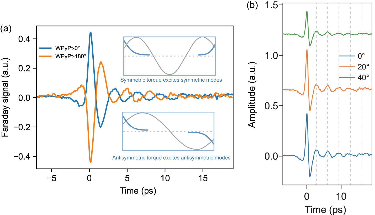 Zeeman Torque Distortion-Free Zeeman Torque Sampling for Detecting Terahertz Magnetic ...
