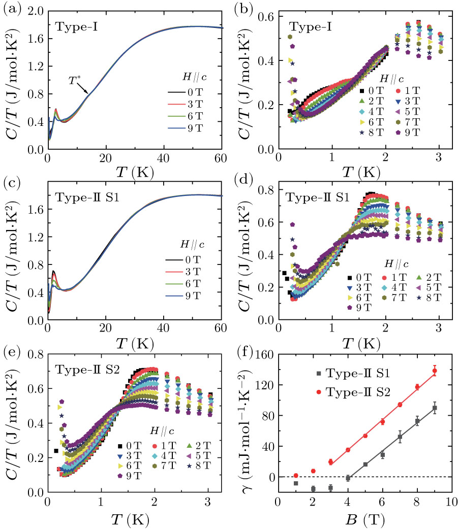 Antiferromagnetic Order and Possible Quantum Spin Liquid in Kagome