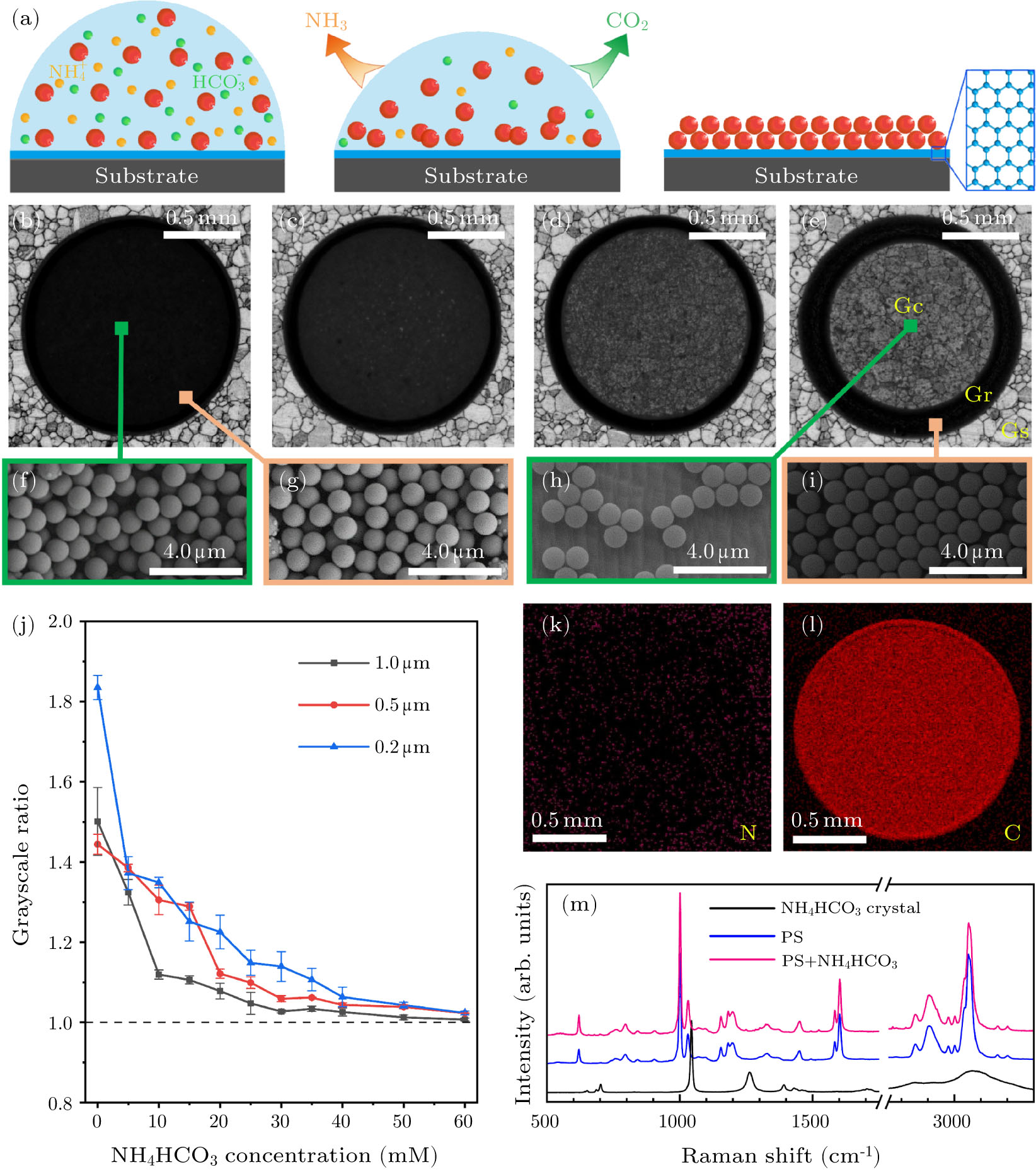 Suppression of the Coffee Ring Effect with Undetectable Disturbance of ...