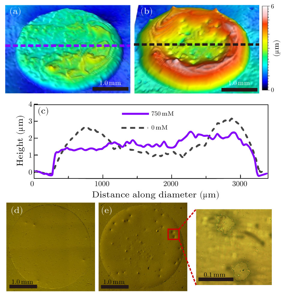Suppression of the Coffee Ring Effect with Undetectable Disturbance of ...