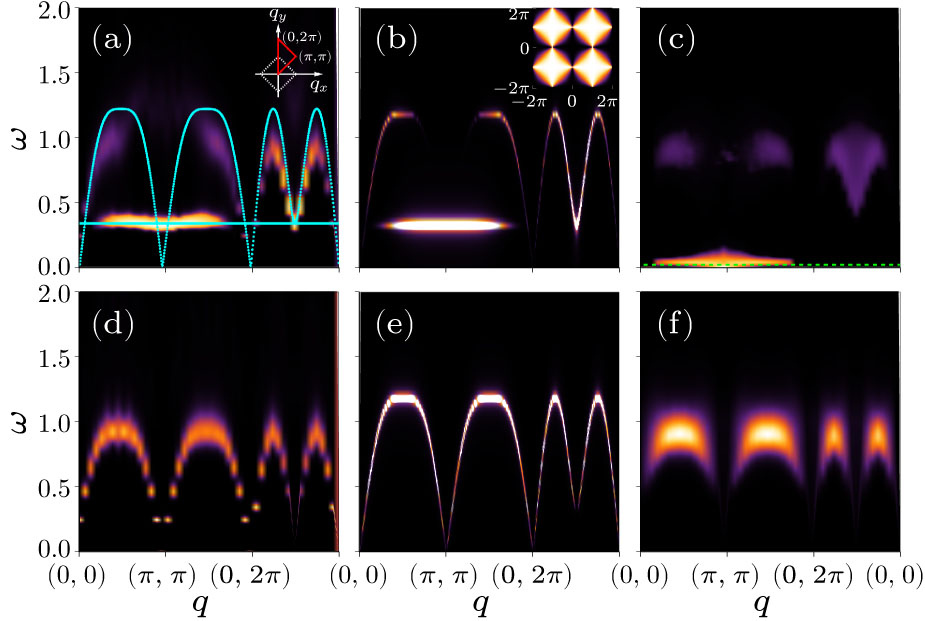 Dynamics in the Planar Pyrochlore Lattice: Flat Band, Domain