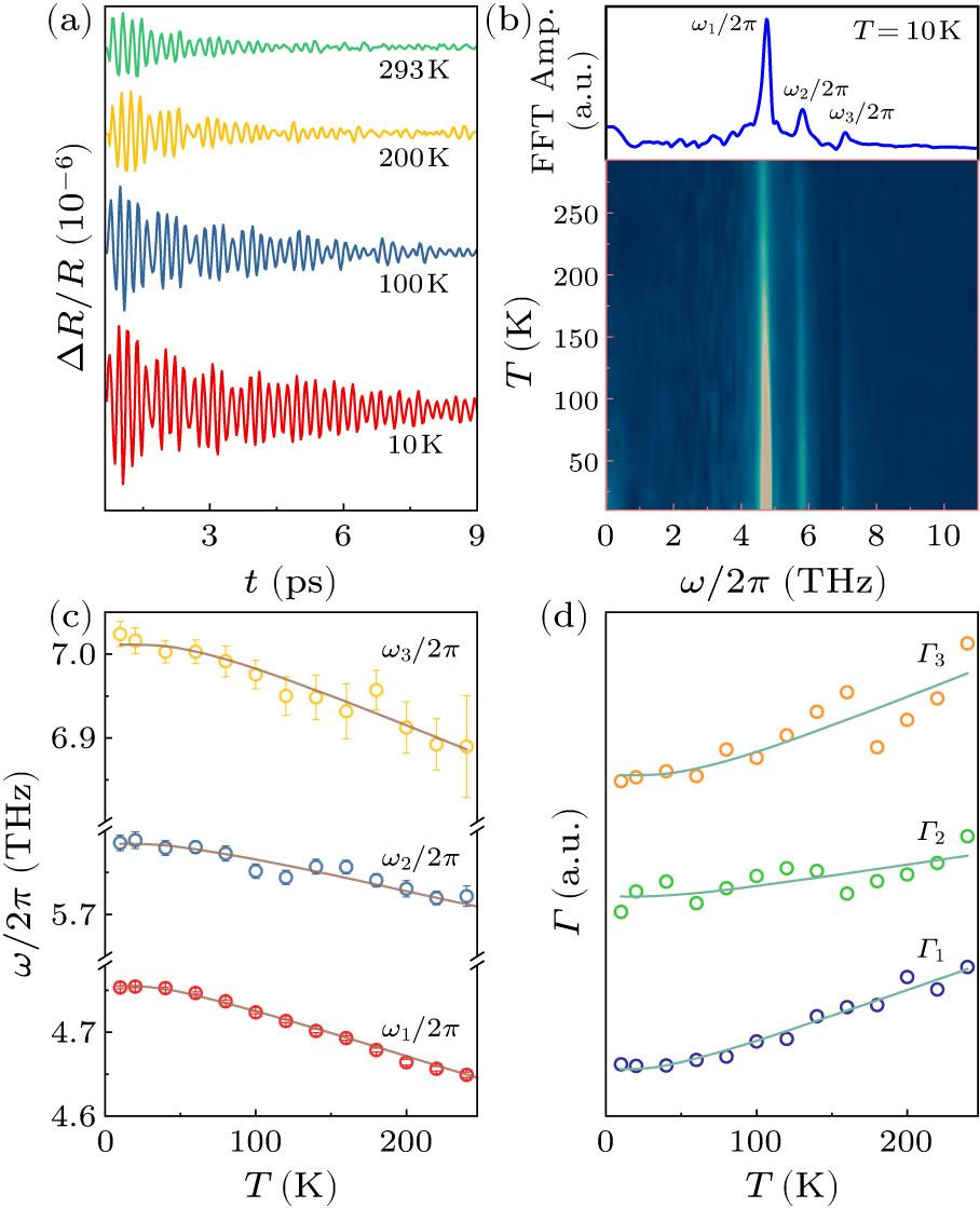 Magnetic-Mediated Carrier, Phonon and Spin Dynamics in the ...