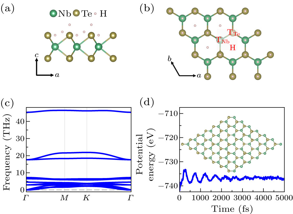 Giant Spontaneous Valley Polarization and Adsorption-Induced ...