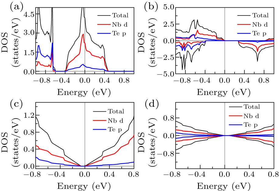 Giant Spontaneous Valley Polarization and Adsorption-Induced ...