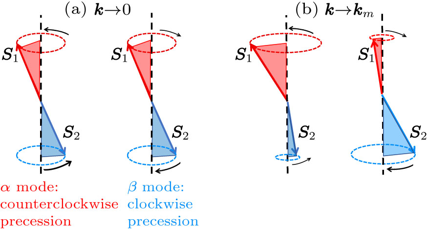 Magnon Splitting and Magnon Spin Transport in Altermagnets - IOPscience