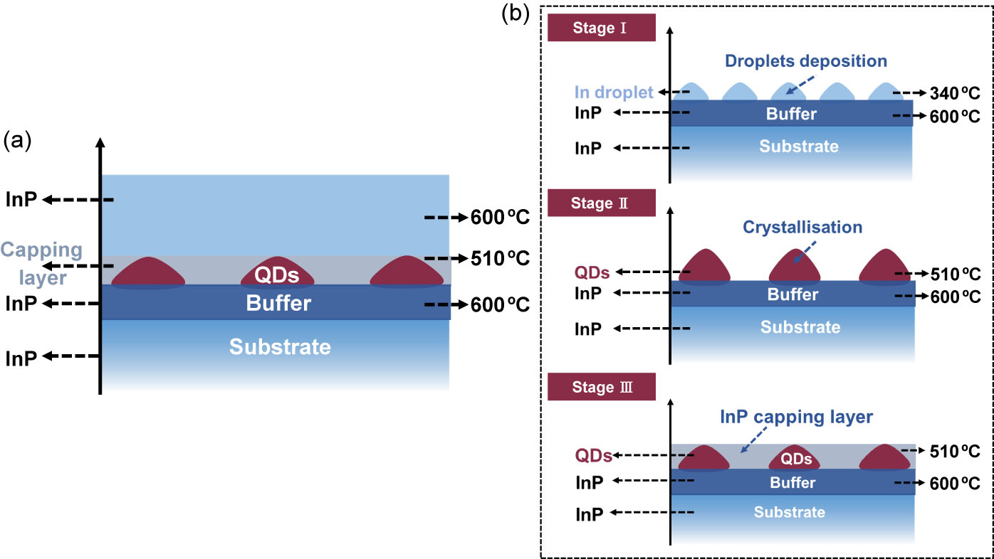 Broadband Telecom Single-Photon Emissions from InAs/InP Quantum Dots ...