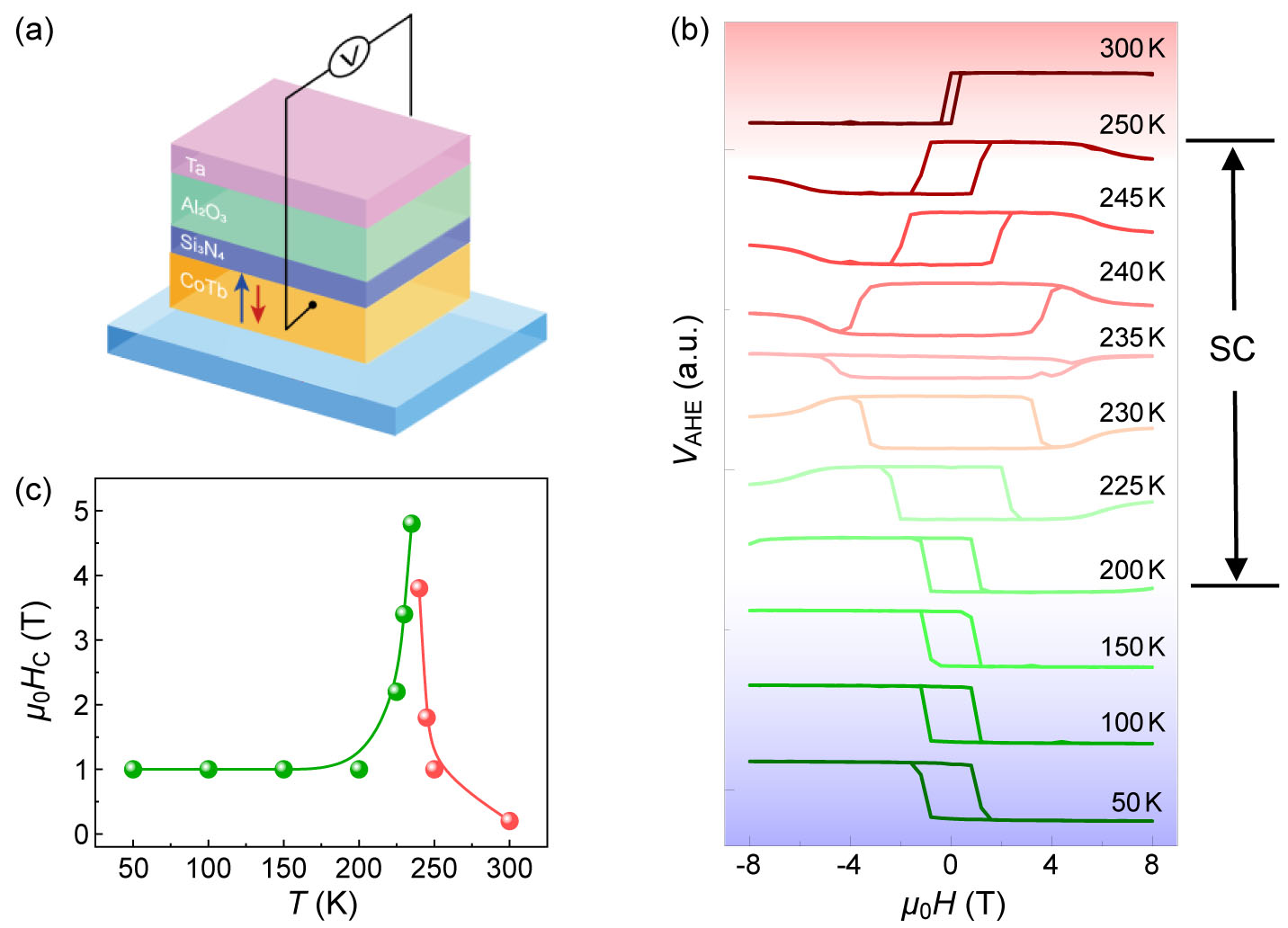 Spin-Canting Mediated Anomalous Nernst Effect in Ferrimagnetic CoTb ...