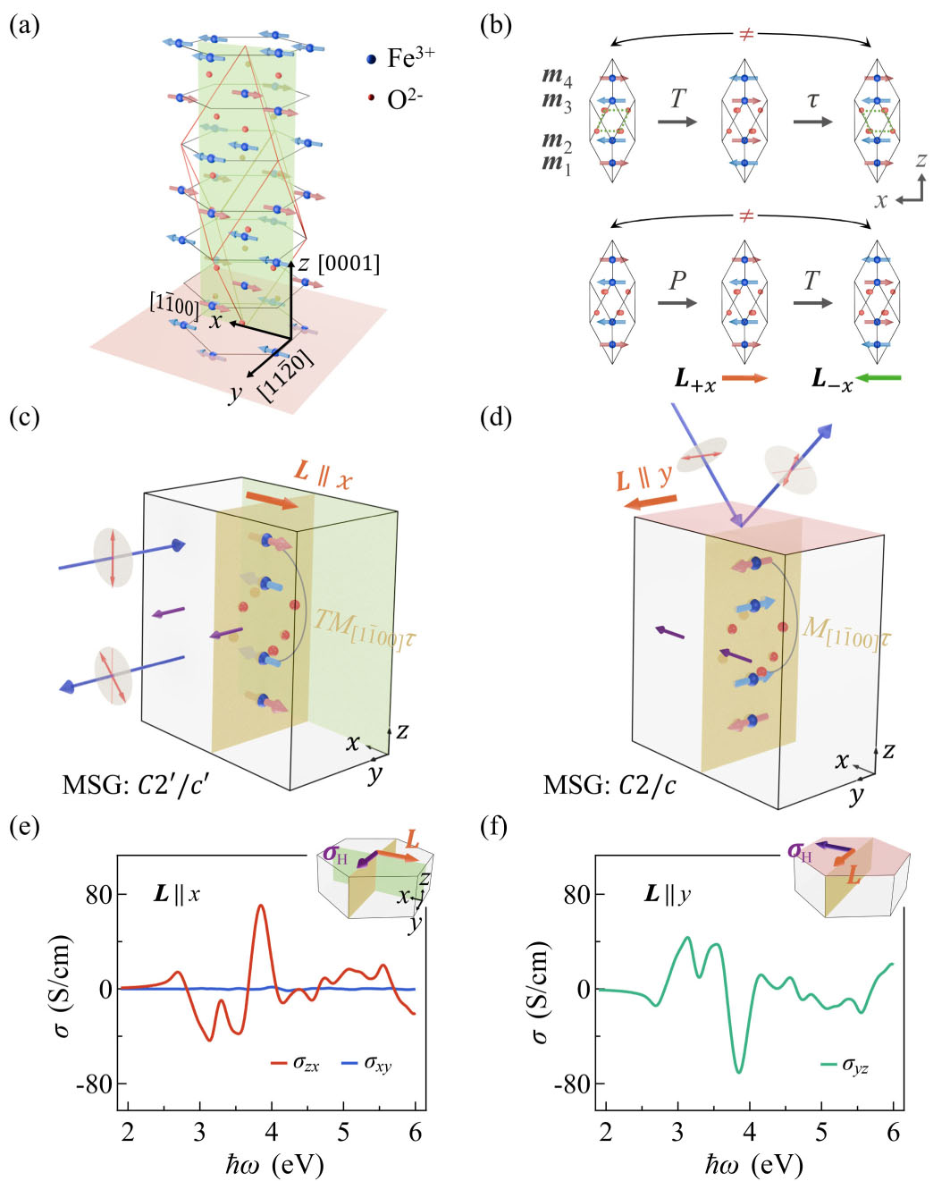 Symmetry-Driven Giant Magneto–Optical Kerr Effects in Altermagnetic ...