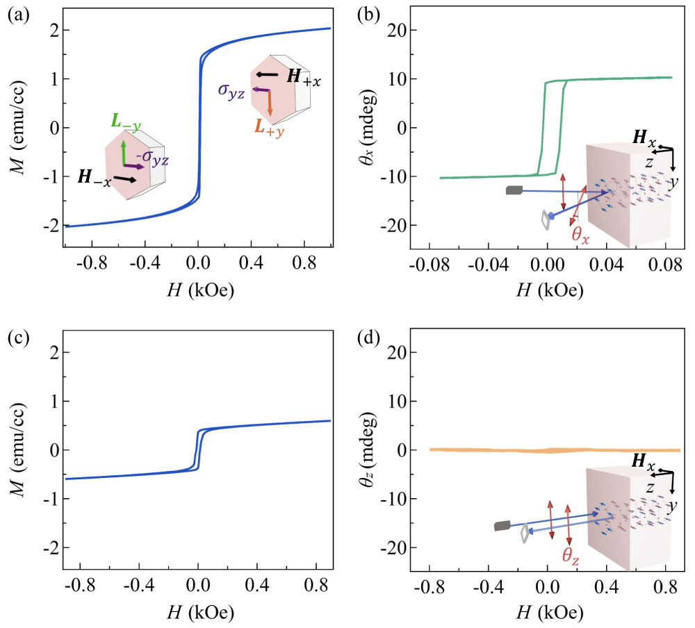 Symmetry-Driven Giant Magneto–Optical Kerr Effects in