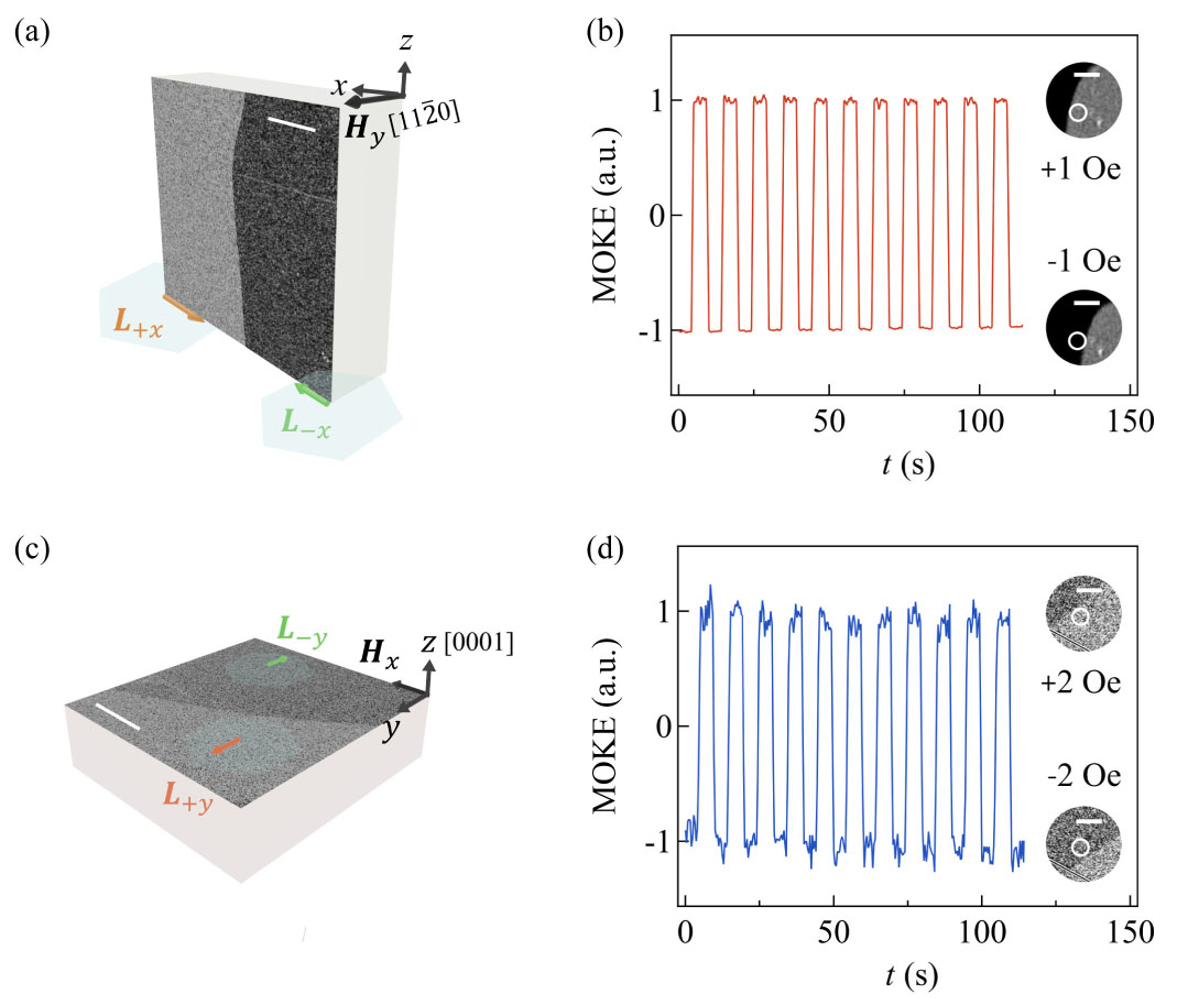 Symmetry-Driven Giant Magneto–Optical Kerr Effects in Altermagnetic ...