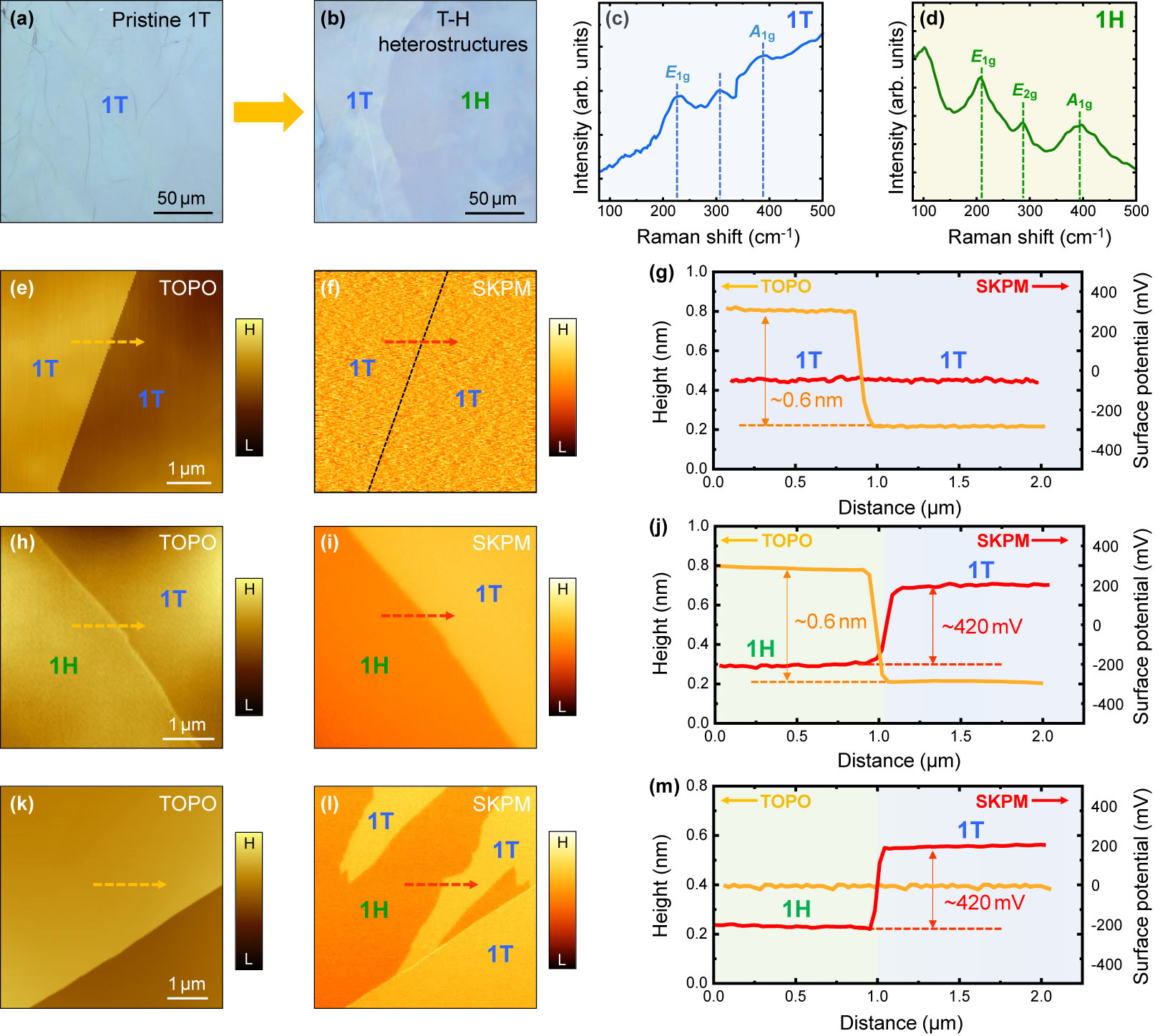 Realization of Polytype Heterostructures via Delicate Structural ...