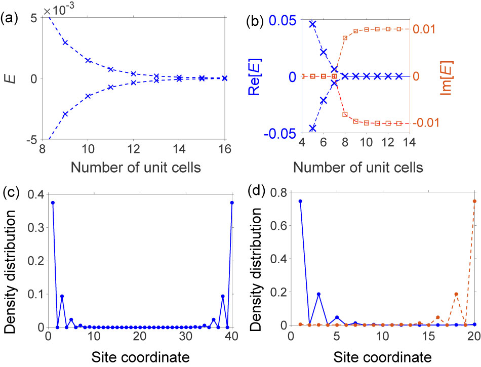 Localized Topological States in Finite Non-Hermitian Photonic Lattices ...