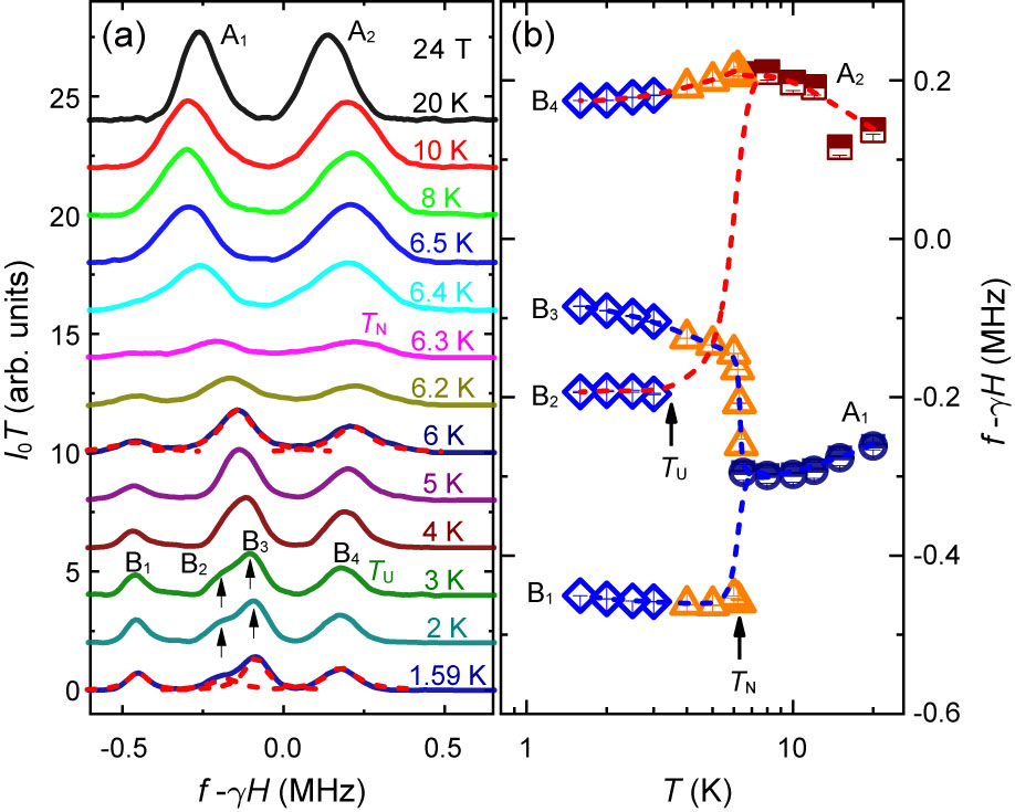 NMR Evidence of Spin Supersolid and Pomeranchuk Effect Behaviors in ...