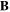 ${\bf B}$
