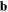 ${\bf b}$