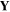 ${\bf Y}$
