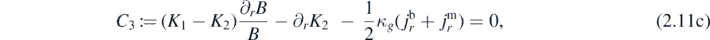 Equation (2.11c)
