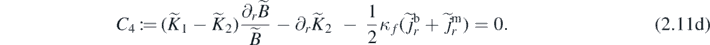 Equation (2.11d)