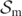 ${\mathcal{S}}_{\mathrm{m}}$