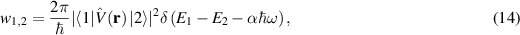 Equation (14)