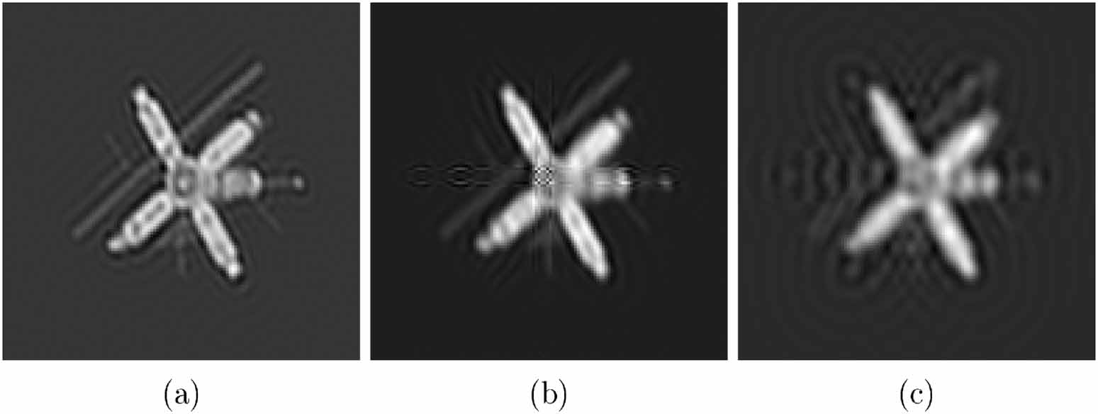Variable projection methods for separable nonlinear inverse problems ...