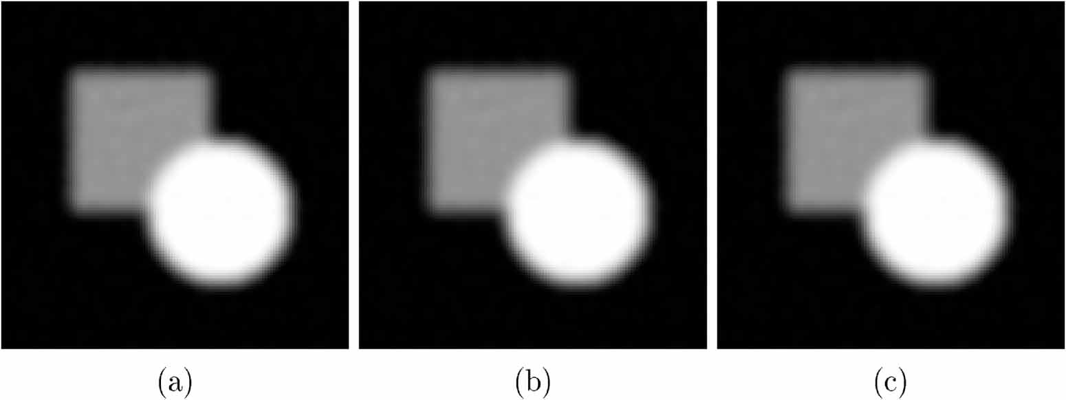 Variable projection methods for separable nonlinear inverse problems ...