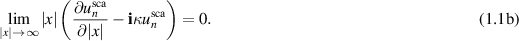 Equation (1.1b)