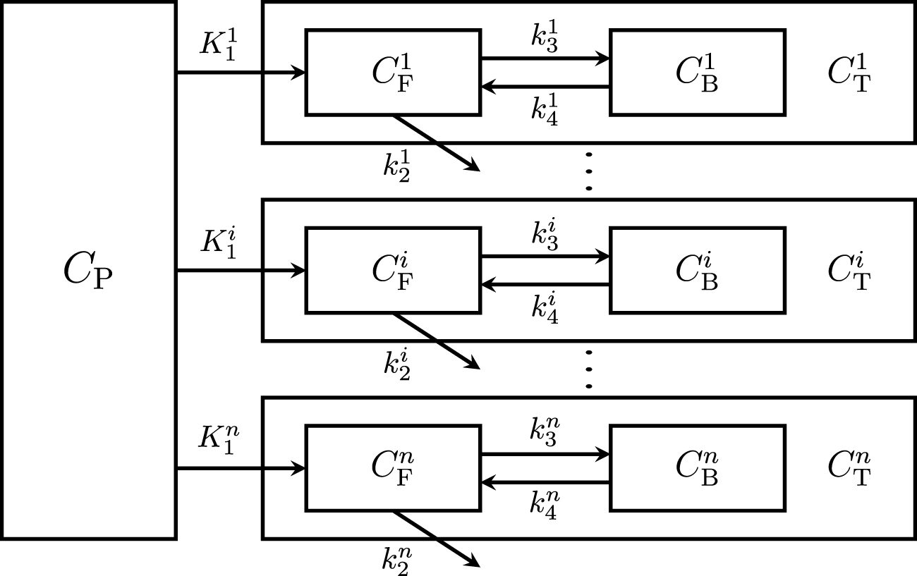 Exact parameter identification in PET pharmacokinetic modeling ...