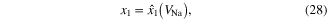 Equation (28)