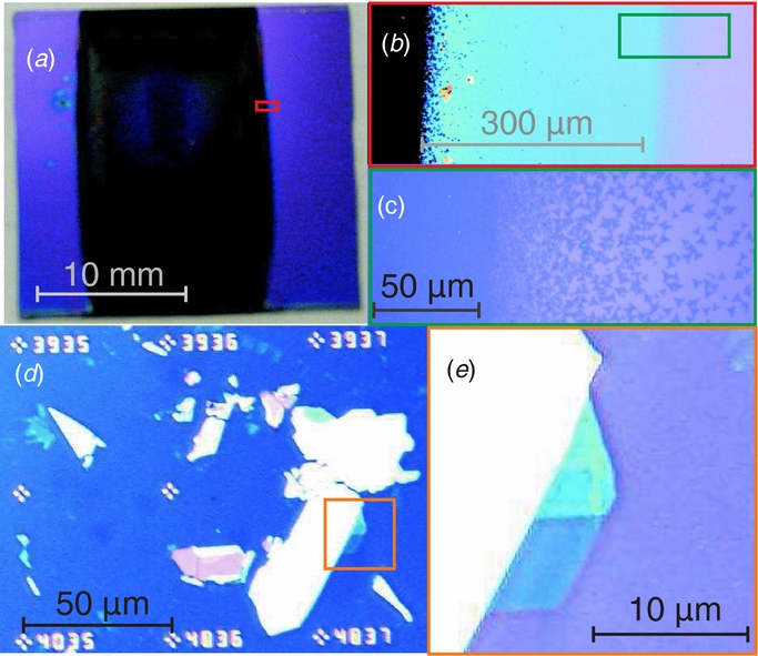 A direct comparison of CVD-grown and exfoliated MoS2 using optical ...